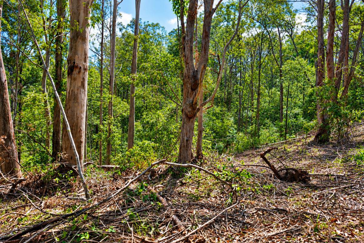 Lot 47,  Hogarth Range Road, Hogarth Range For Sale by Farmbuy.com - image 14