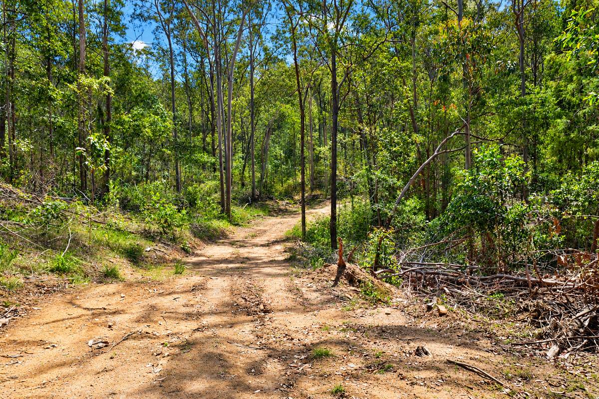 Lot 47,  Hogarth Range Road, Hogarth Range For Sale by Farmbuy.com - image 9
