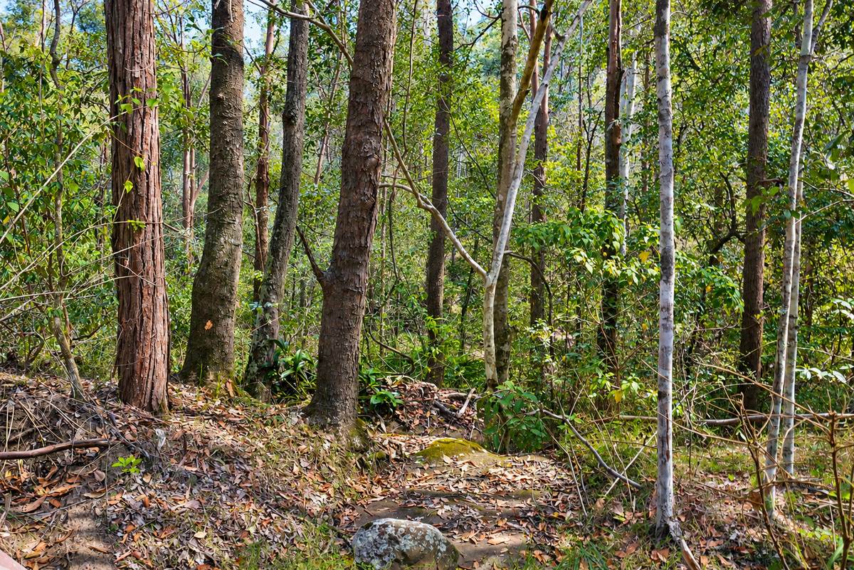 Lot 47,  Hogarth Range Road, Hogarth Range For Sale by Farmbuy.com - image 15