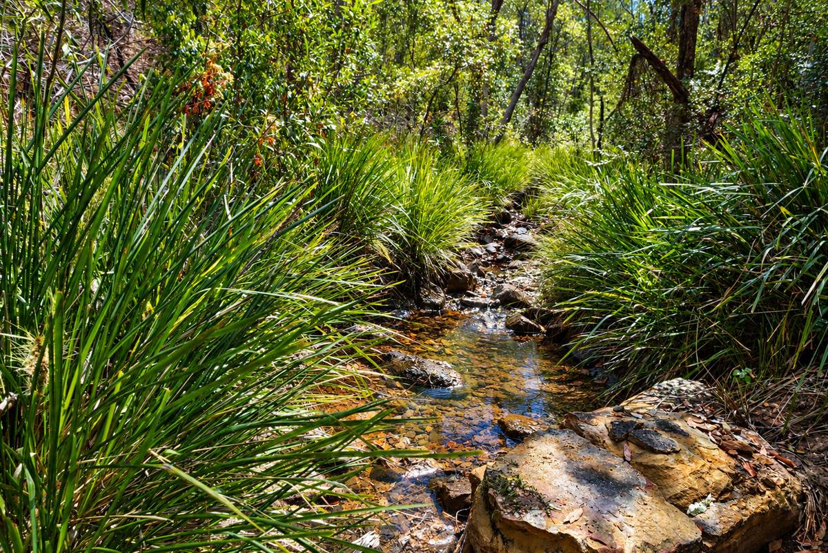 Lot 47,  Hogarth Range Road, Hogarth Range For Sale by Farmbuy.com - image 11