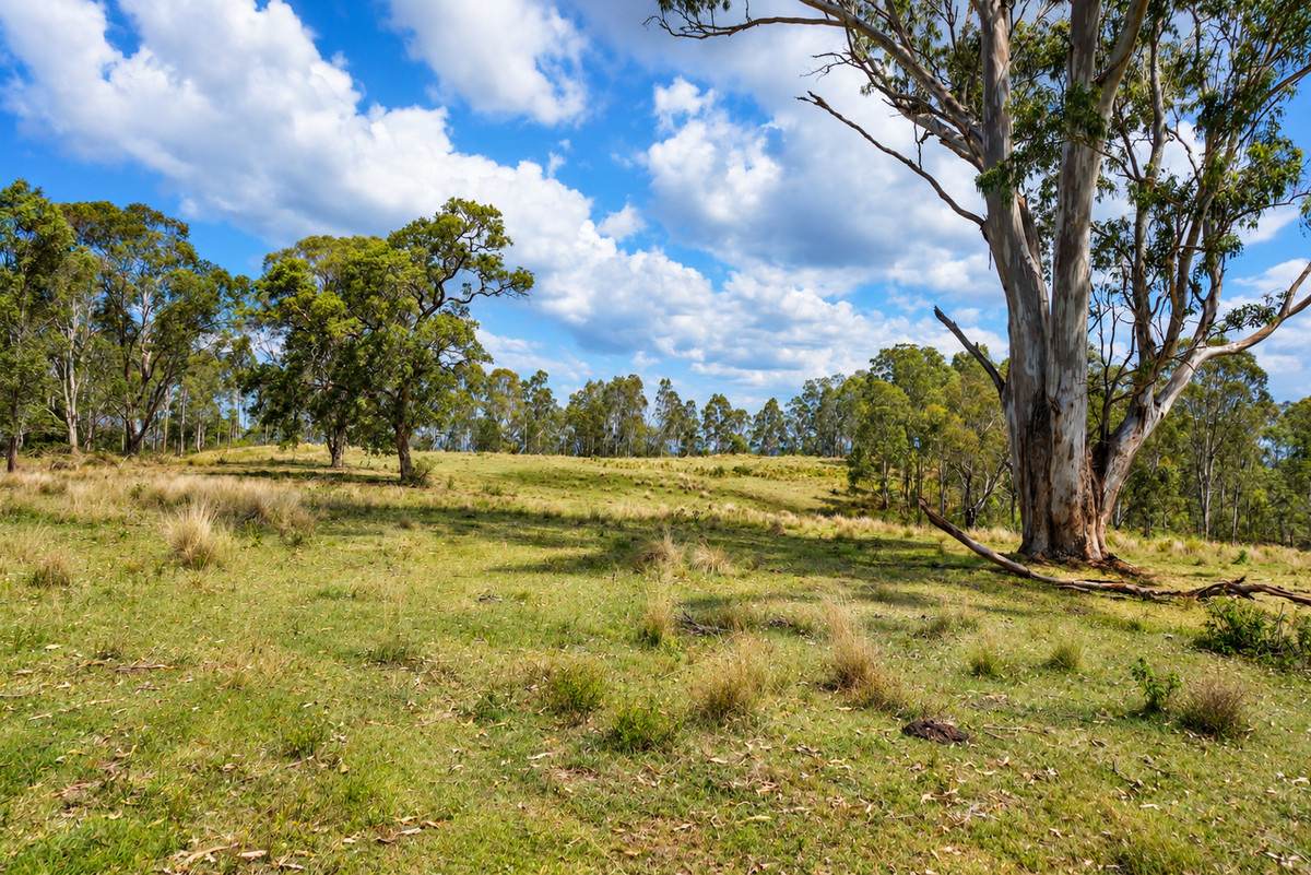 Lot 47,  Hogarth Range Road, Hogarth Range For Sale by Farmbuy.com - image 3