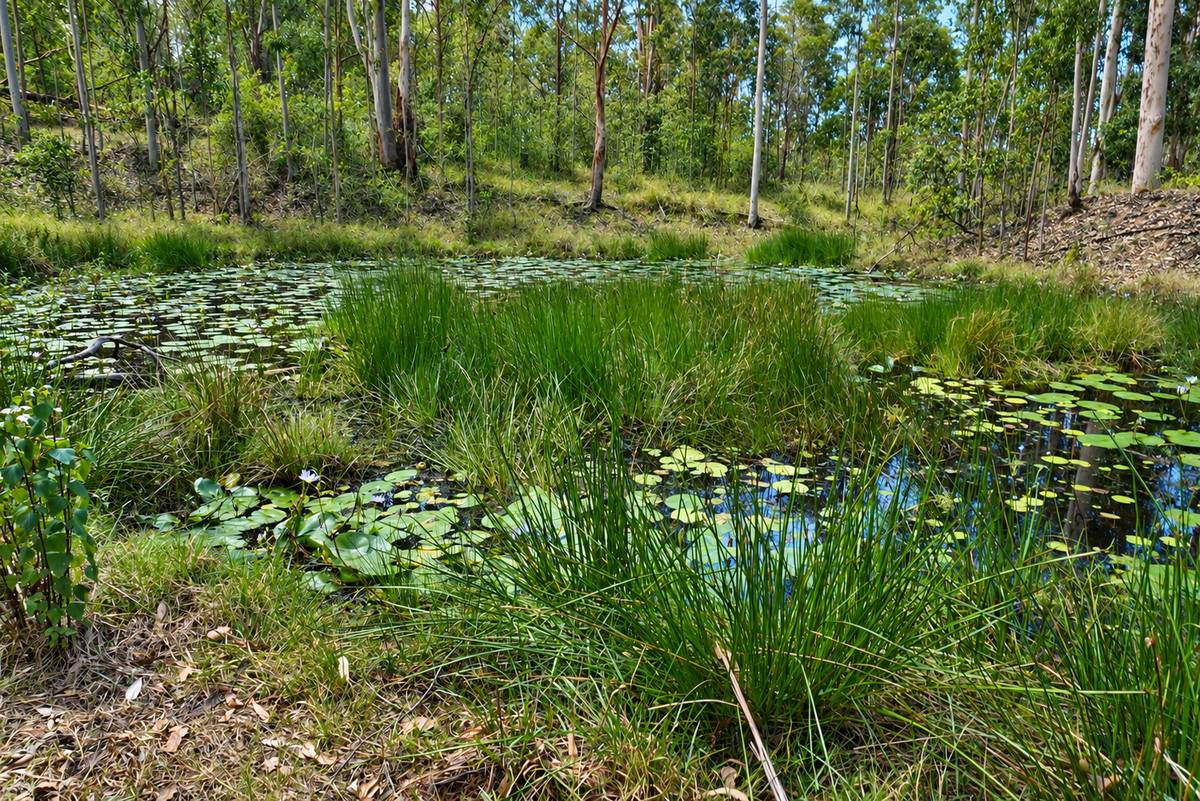 Lot 47,  Hogarth Range Road, Hogarth Range For Sale by Farmbuy.com - image 4