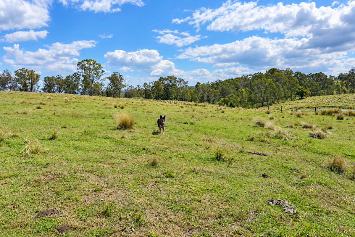 Lot 47,  Hogarth Range Road, Hogarth Range For Sale by Farmbuy.com - image 5