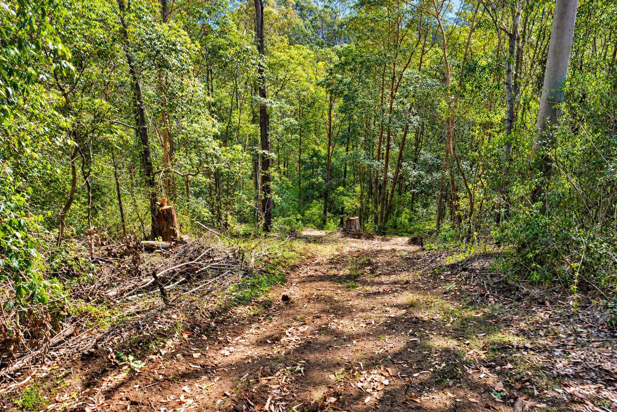 Lot 47,  Hogarth Range Road, Hogarth Range For Sale by Farmbuy.com - image 16