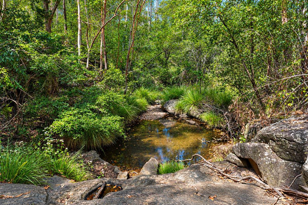Lot 47,  Hogarth Range Road, Hogarth Range For Sale by Farmbuy.com - image 2
