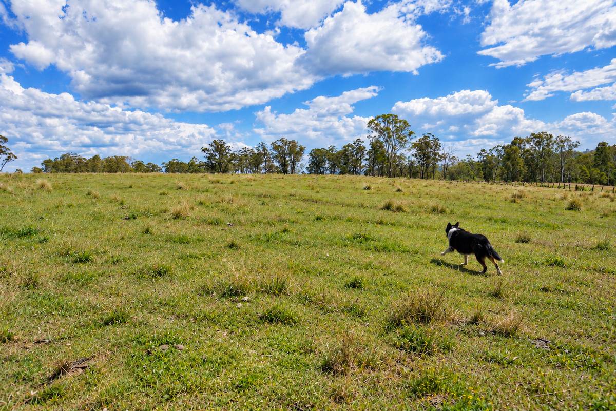 Lot 47,  Hogarth Range Road, Hogarth Range For Sale by Farmbuy.com - image 18