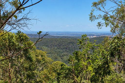 Lot 47, Hogarth Range Road, Hogarth Range NSW 2469