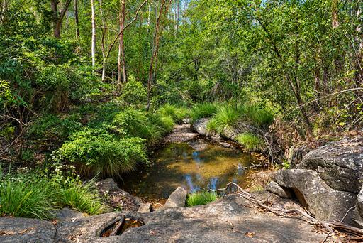 Lot 47&comma; Hogarth Range Road, Hogarth Range NSW 2469