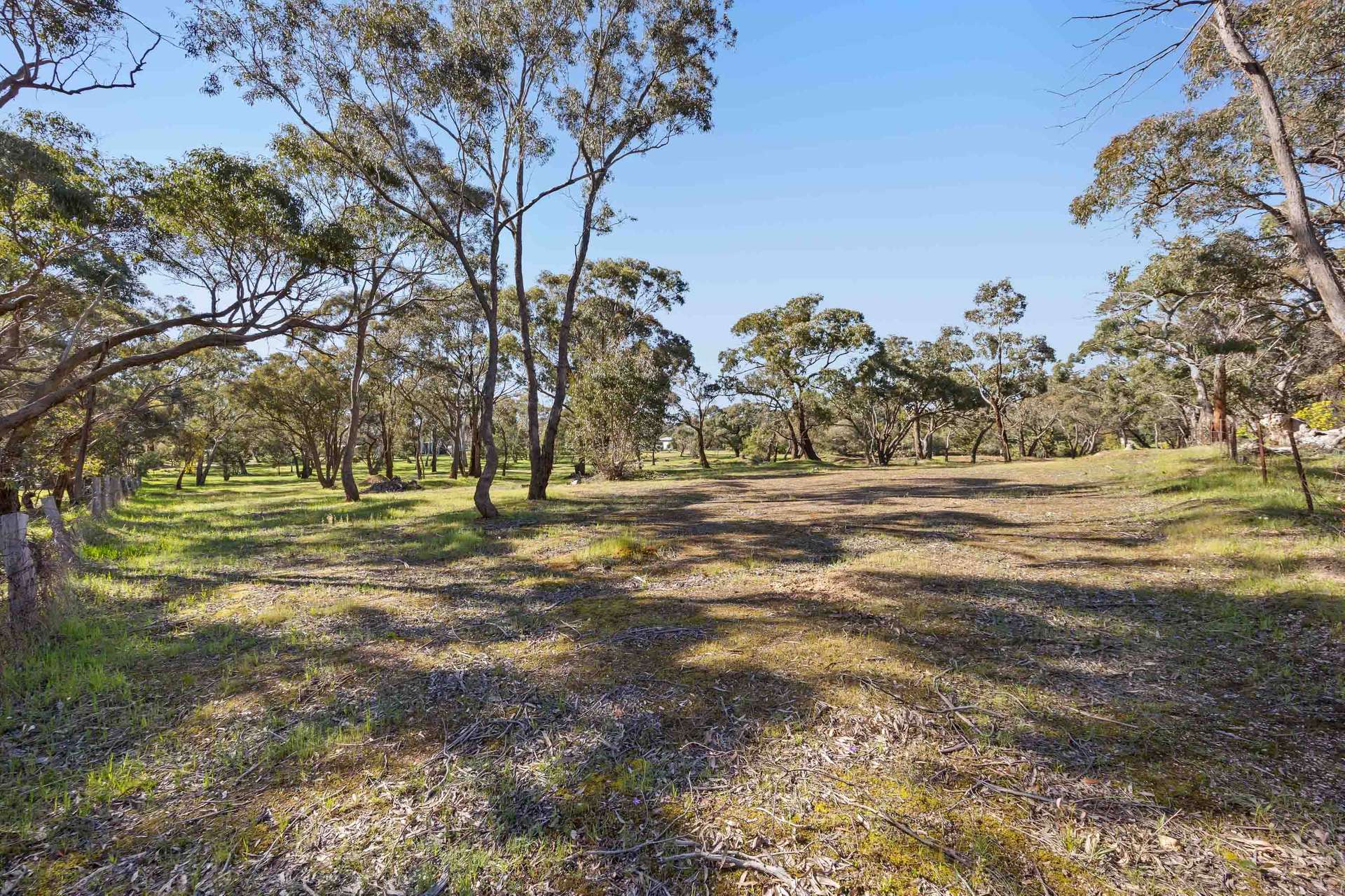 Lot 1 Morella Road, Ararat For Sale by Farmbuy.com - image 5
