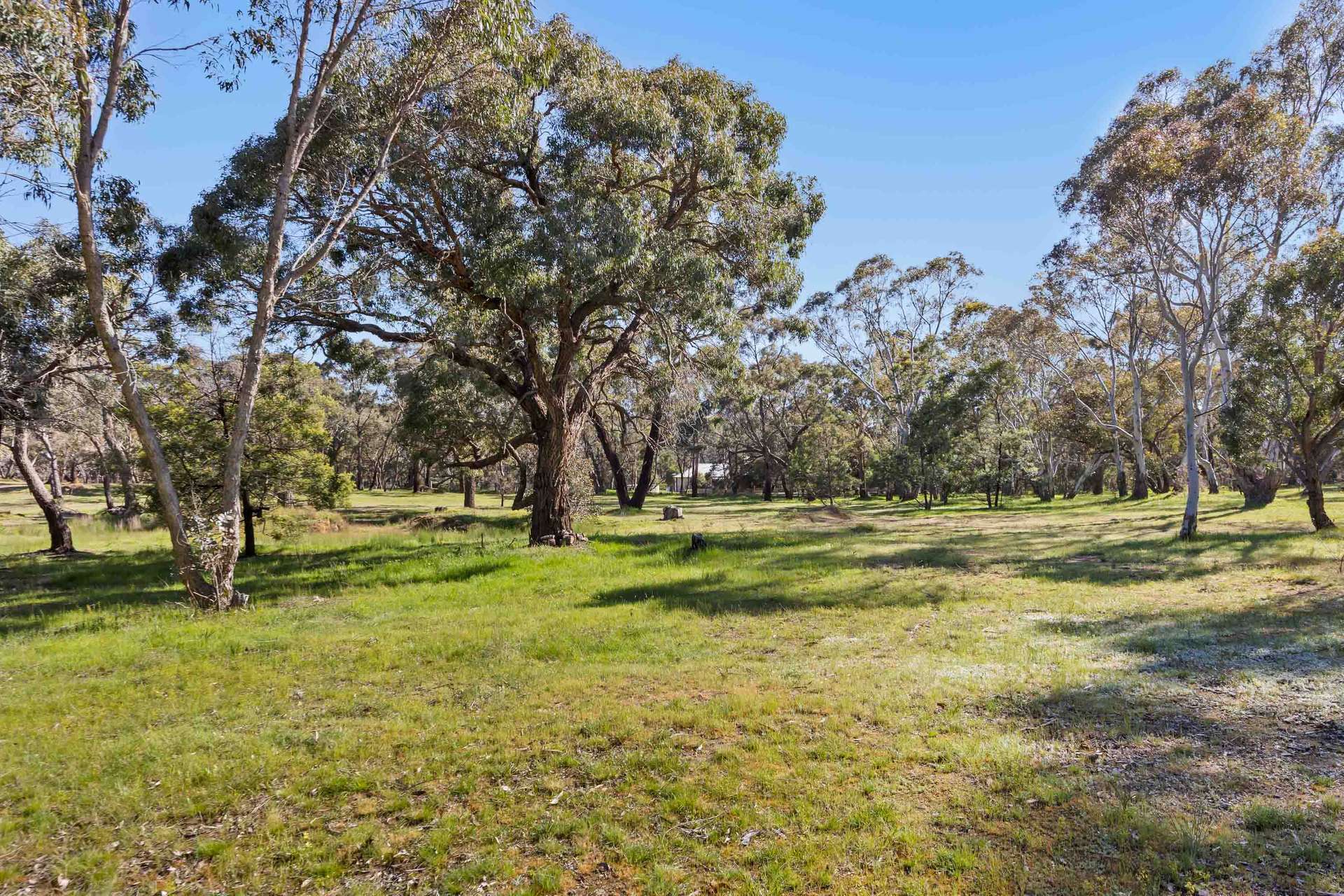 Lot 1 Morella Road, Ararat For Sale by Farmbuy.com - image 3