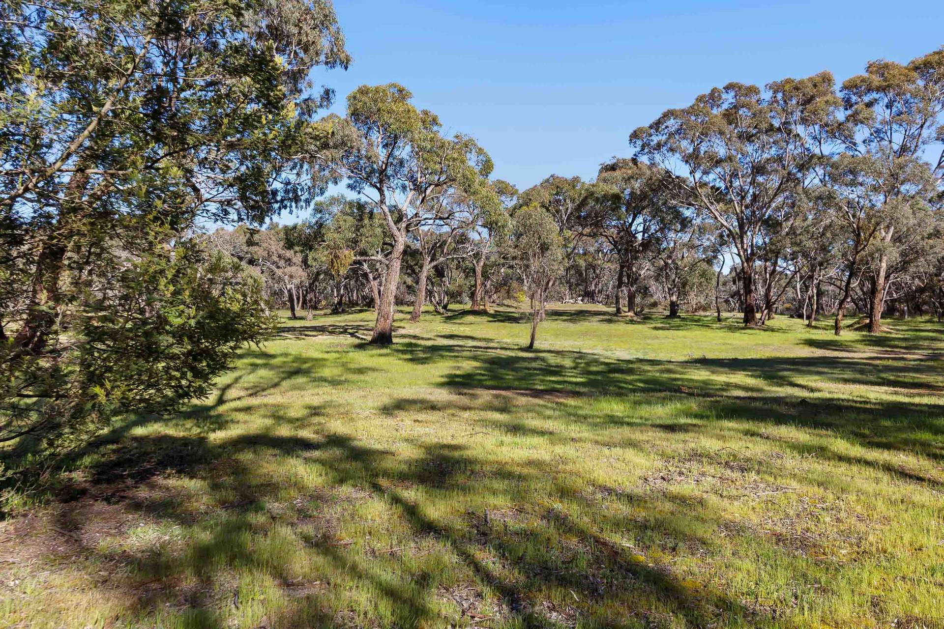 Lot 1 Morella Road, Ararat For Sale by Farmbuy.com - image 2