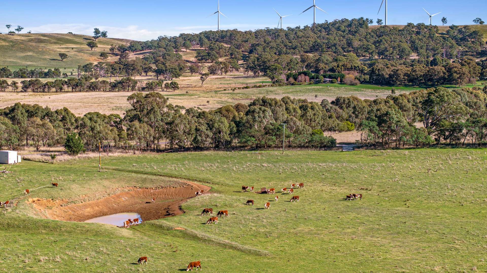 3074 Range Road, Bannister Via, Goulburn Sold by Farmbuy.com - image 8
