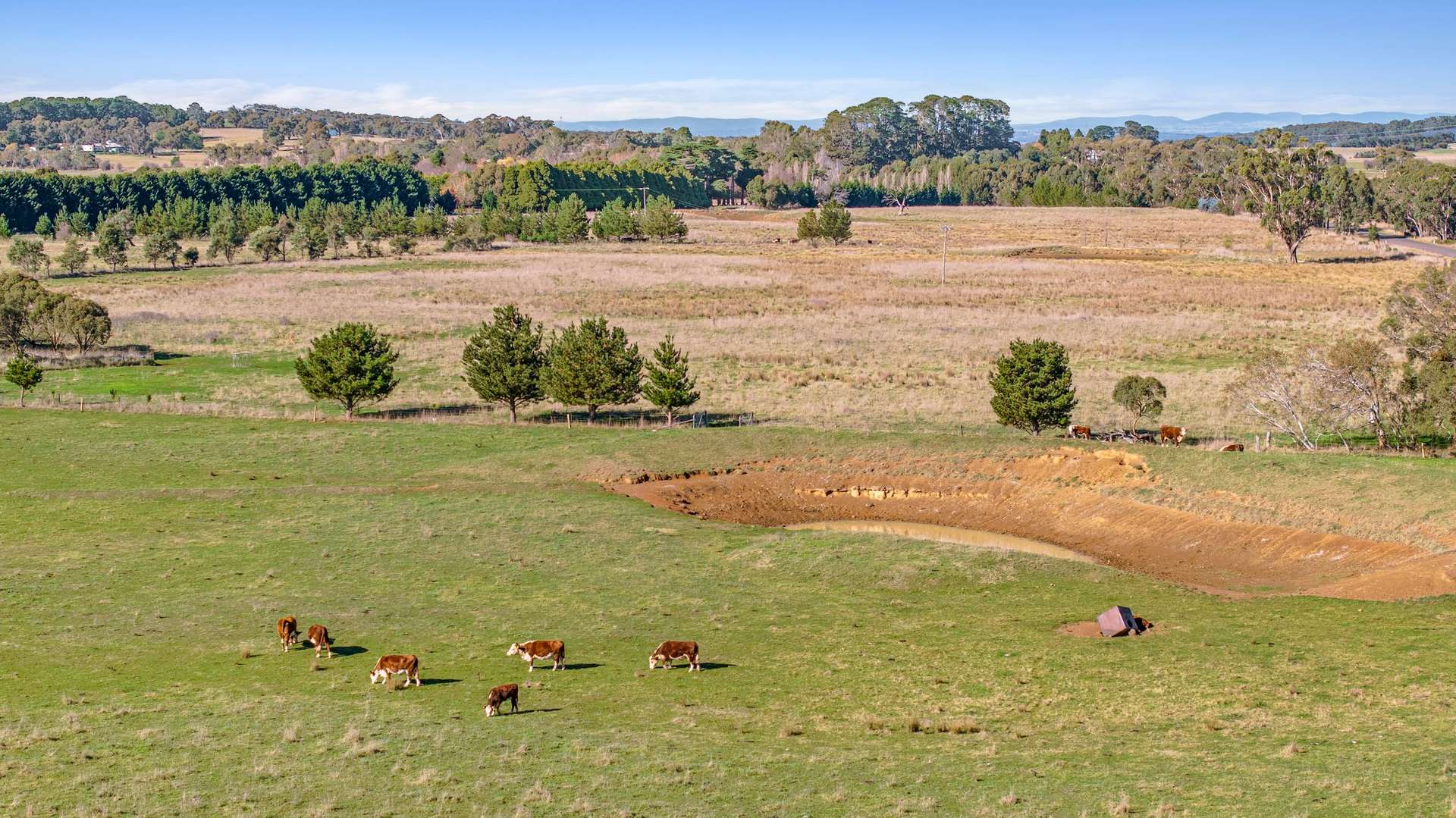 3074 Range Road, Bannister Via, Goulburn Sold by Farmbuy.com - image 3