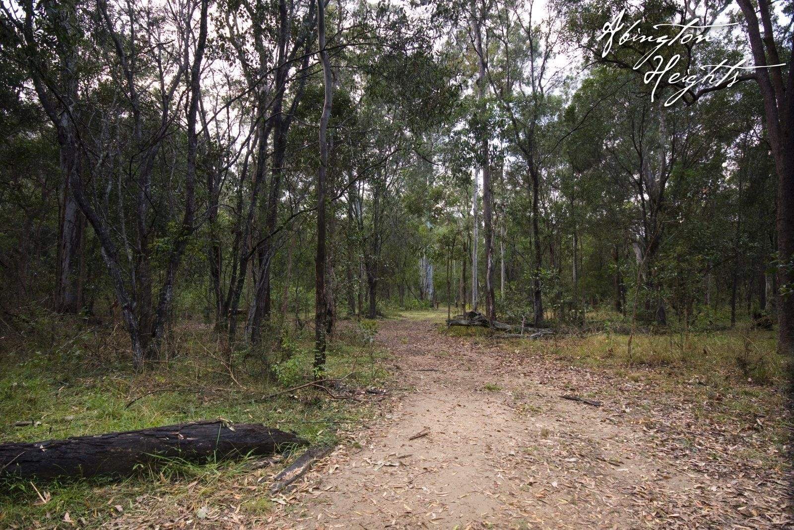 Lot 63, Abington Heights, Park Avenue, North Isis Sold by Farmbuy.com - image 10