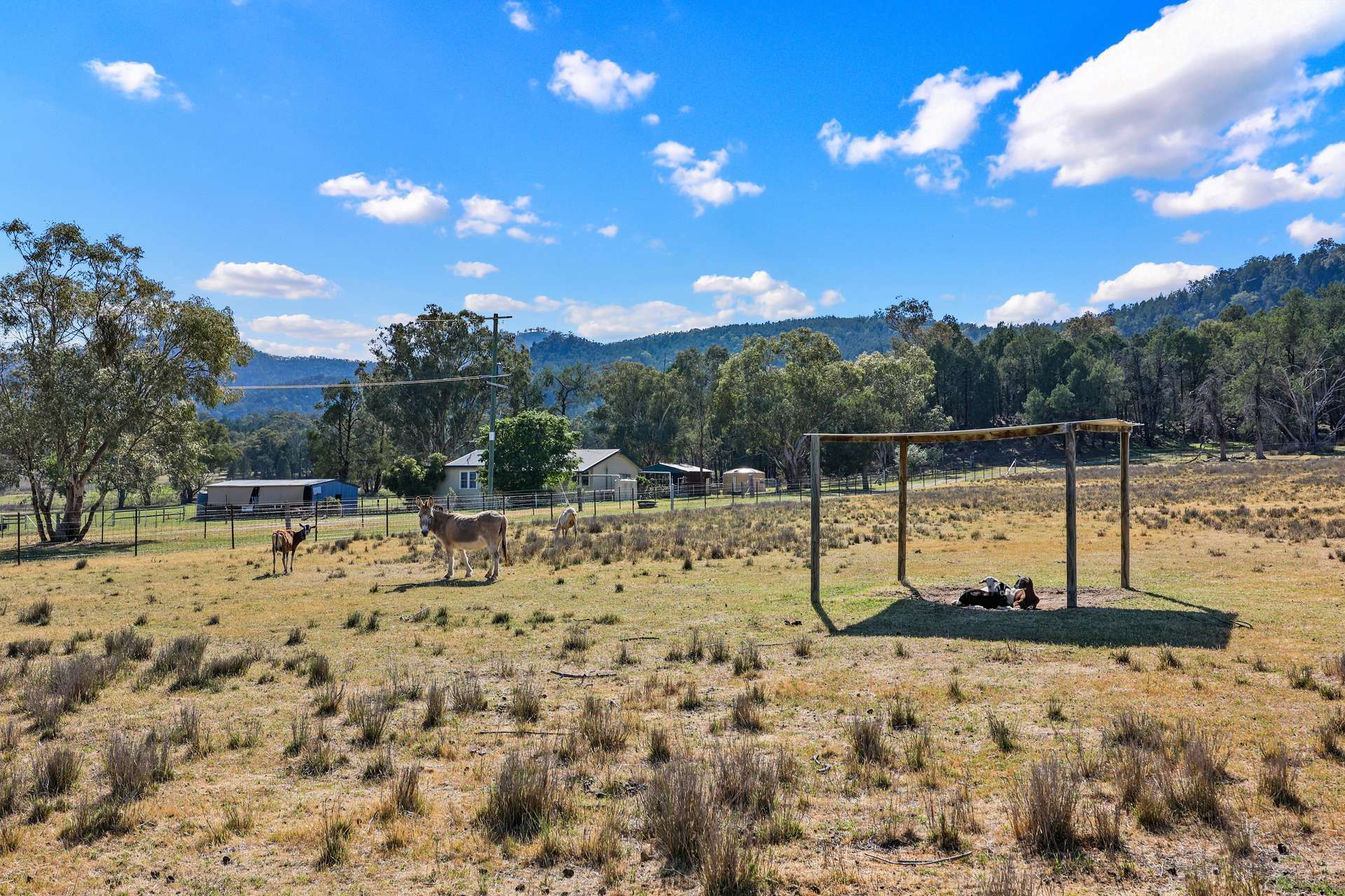 284 Tanglewood Road, Moonbi Auction by Farmbuy.com - image 15