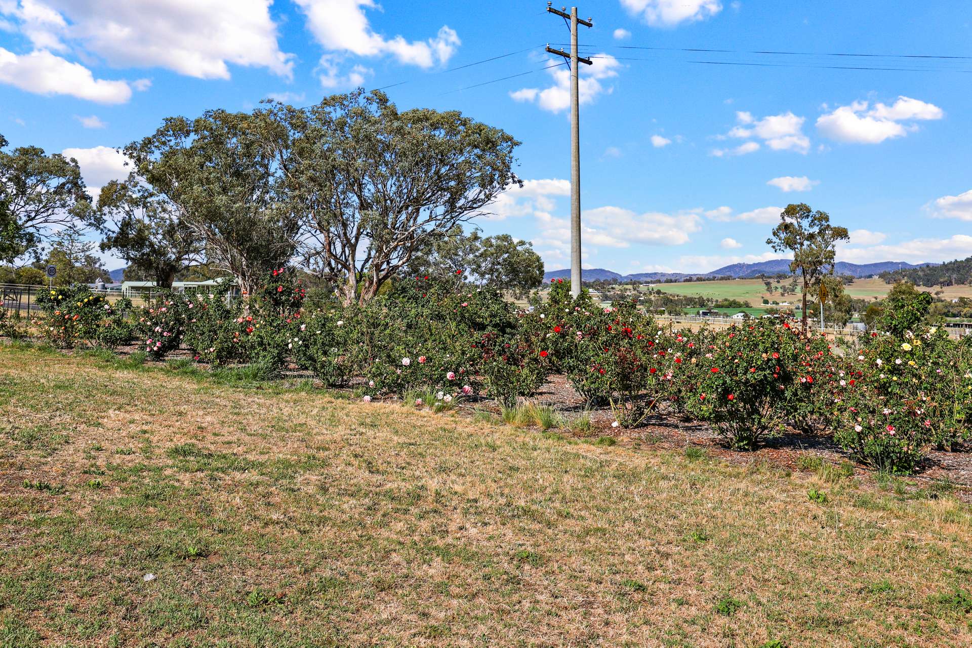 284 Tanglewood Road, Moonbi Auction by Farmbuy.com - image 18