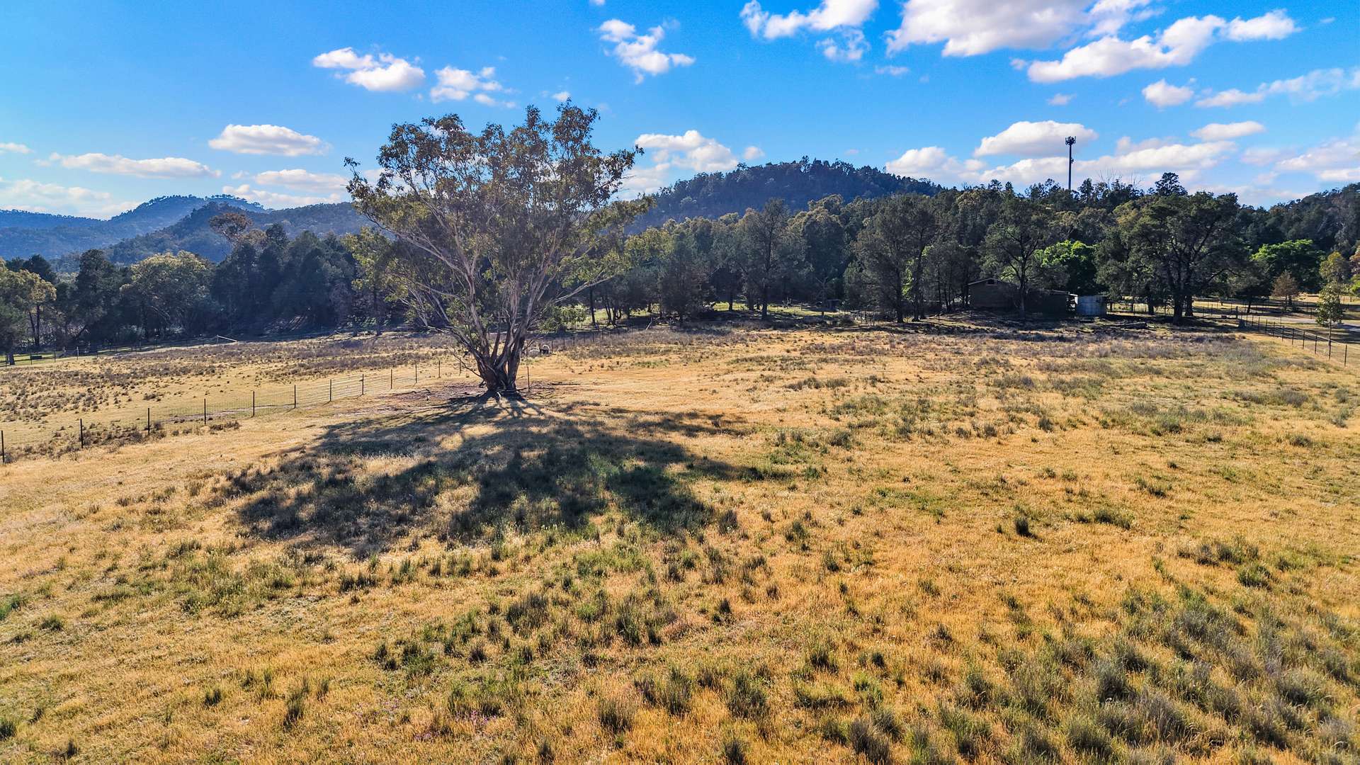 284 Tanglewood Road, Moonbi Auction by Farmbuy.com - image 2