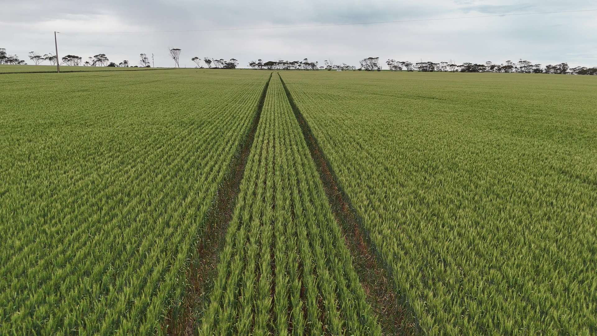 'Prices' Bowey Road, Kainton For Sale by Farmbuy.com - image 6