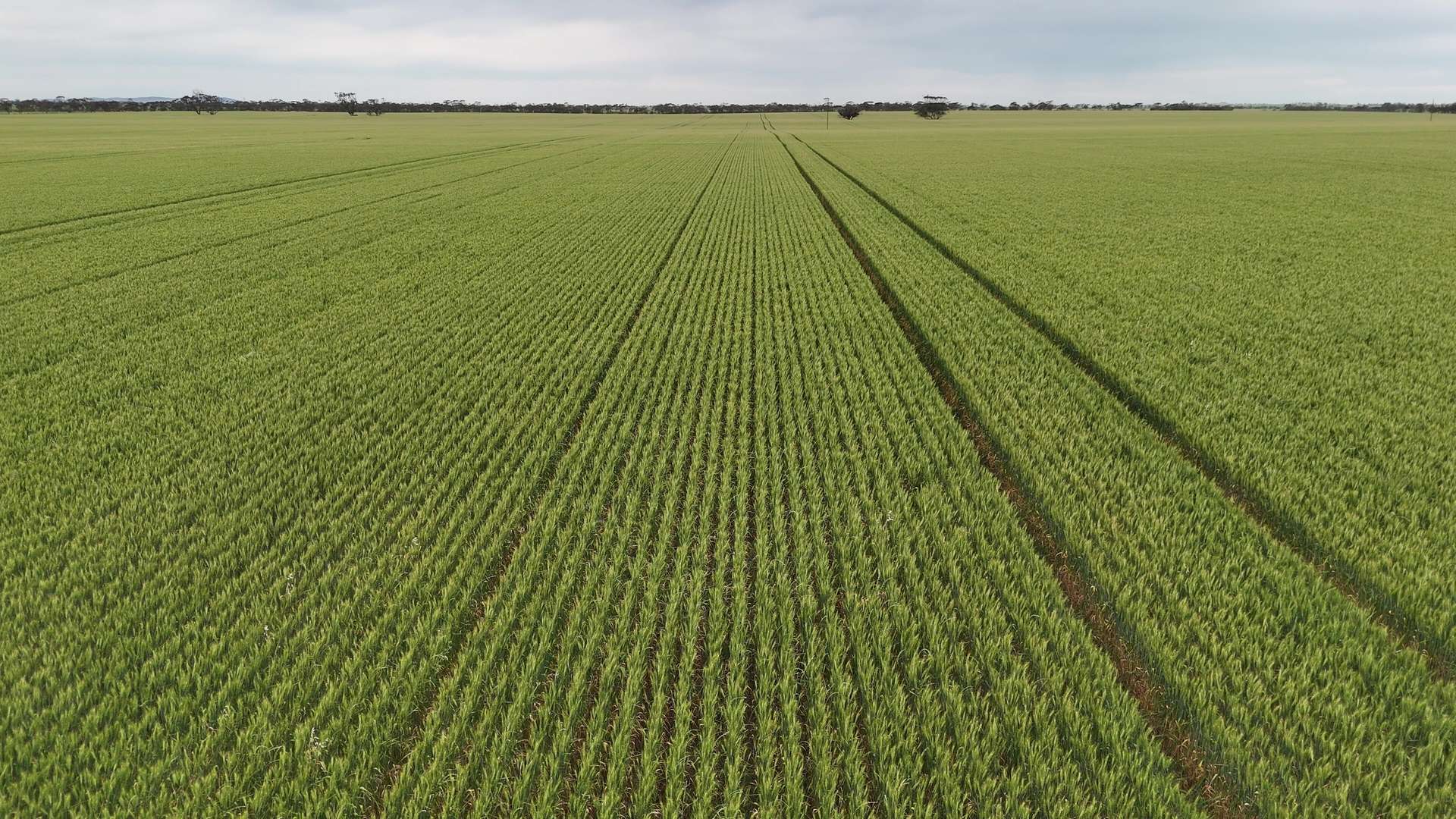 'Prices' Bowey Road, Kainton For Sale by Farmbuy.com - image 1