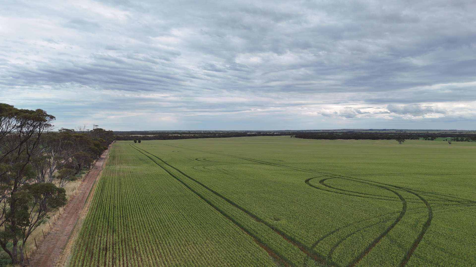 'Prices' Bowey Road, Kainton For Sale by Farmbuy.com - image 4