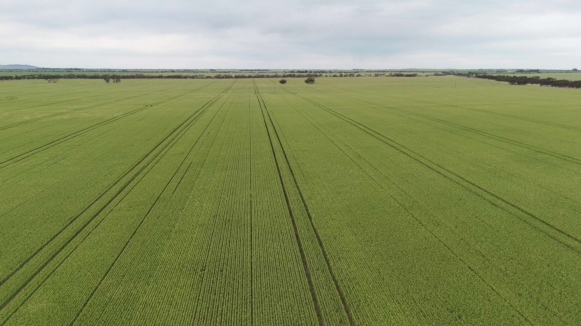 'Prices' Bowey Road, Kainton For Sale by Farmbuy.com - image 2
