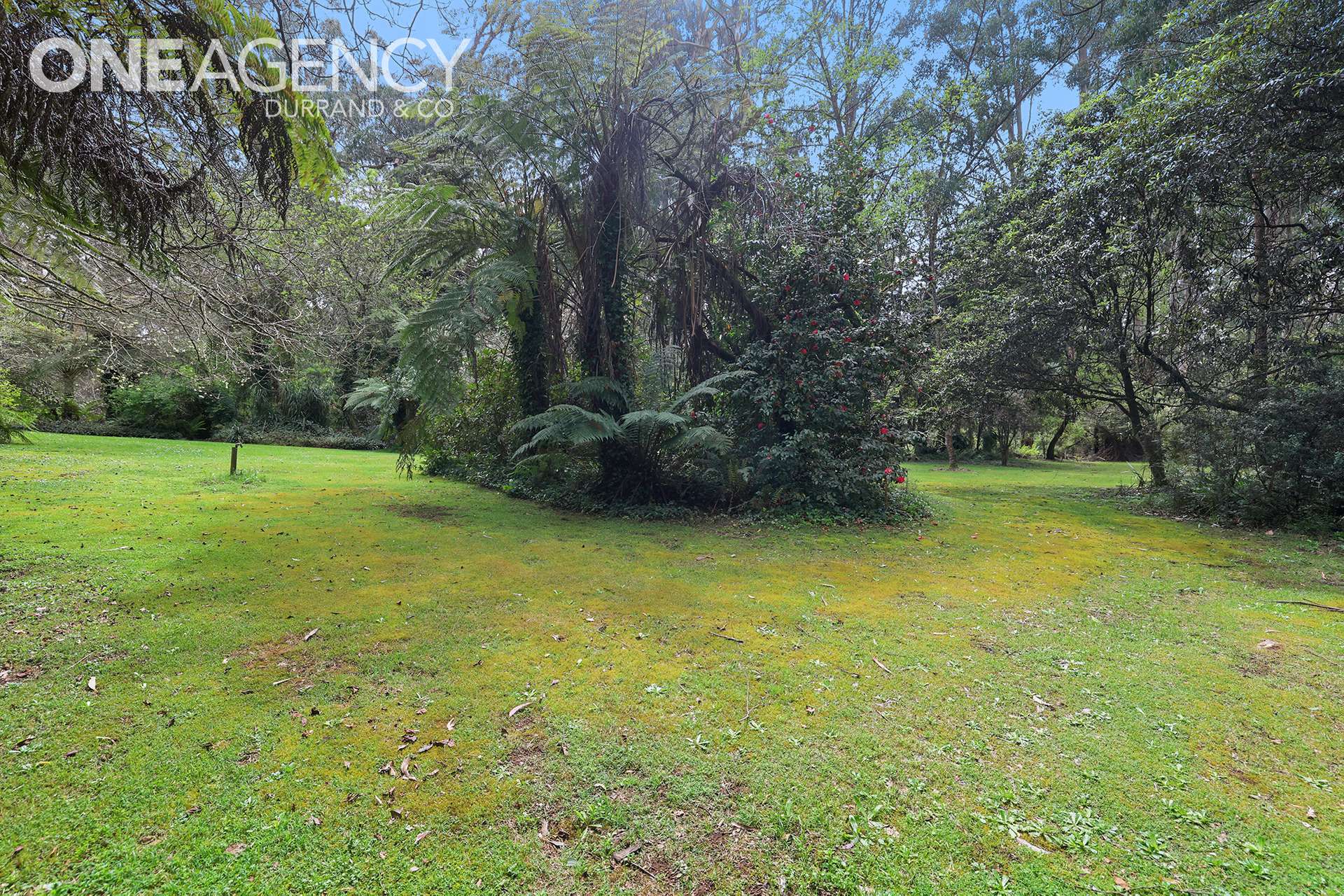 698 Sunny Creek Road, Trafalgar South For Sale by Farmbuy.com - image 30