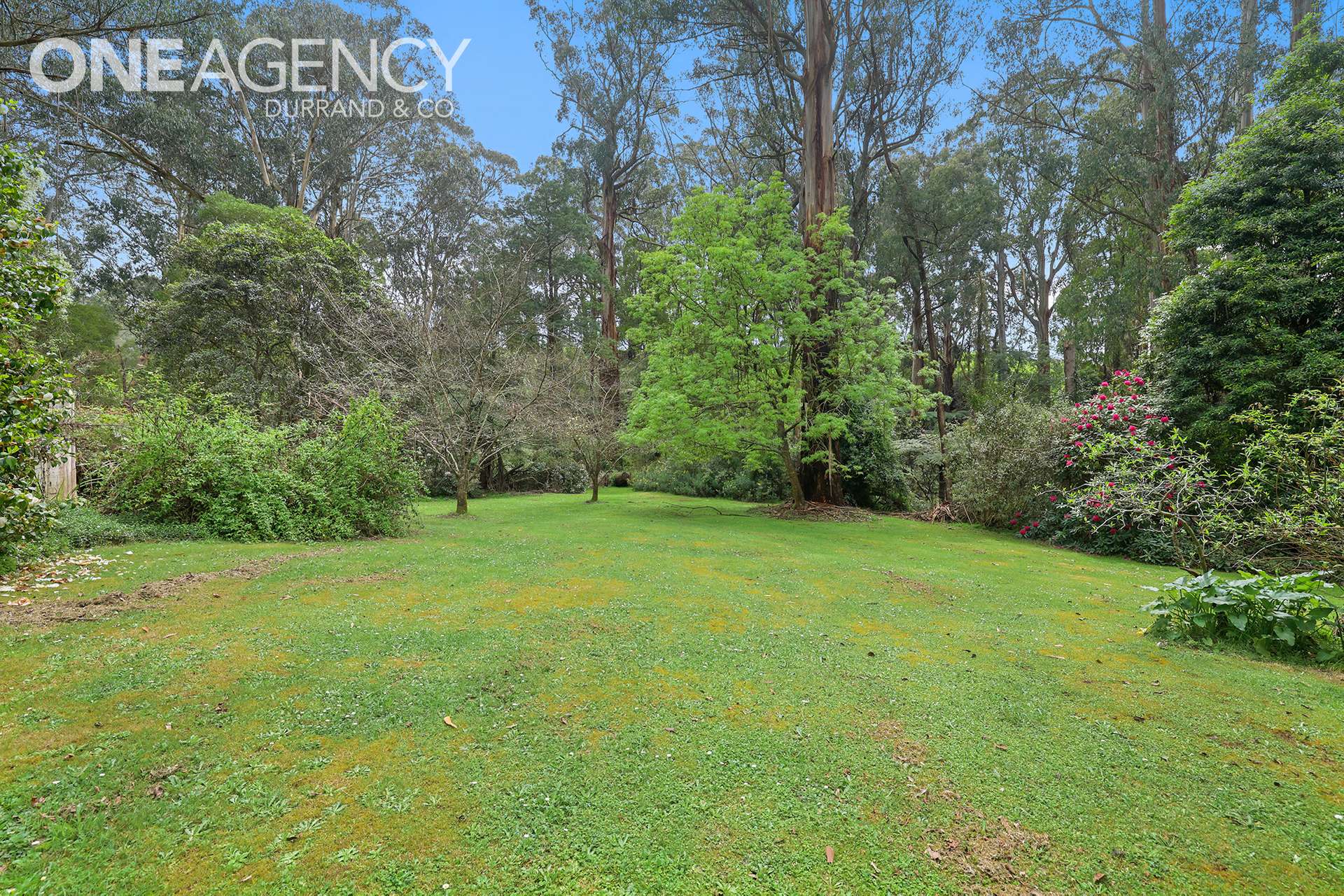 698 Sunny Creek Road, Trafalgar South For Sale by Farmbuy.com - image 31