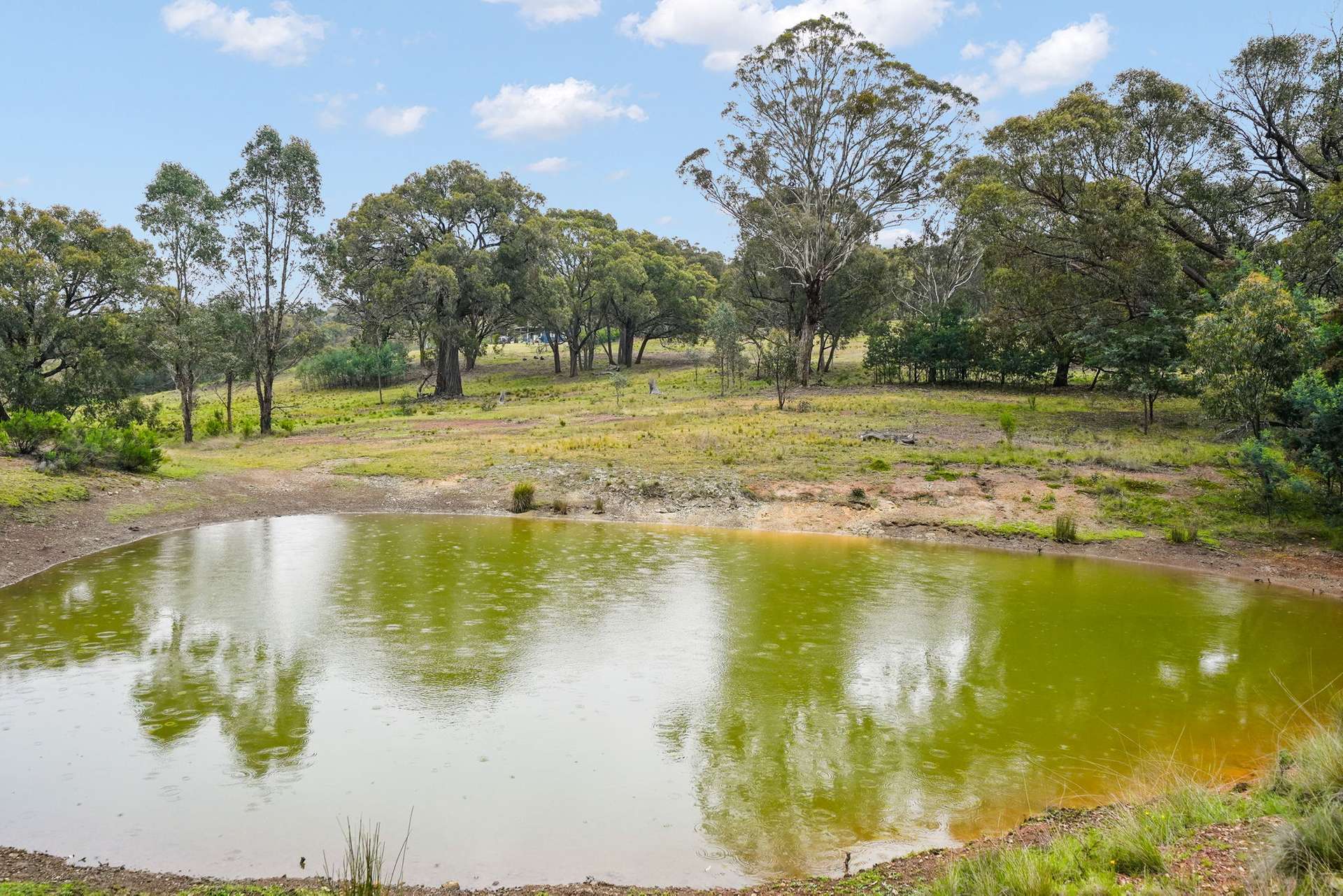 2975 Limekilns Road, Limekilns For Sale by Farmbuy.com - image 12