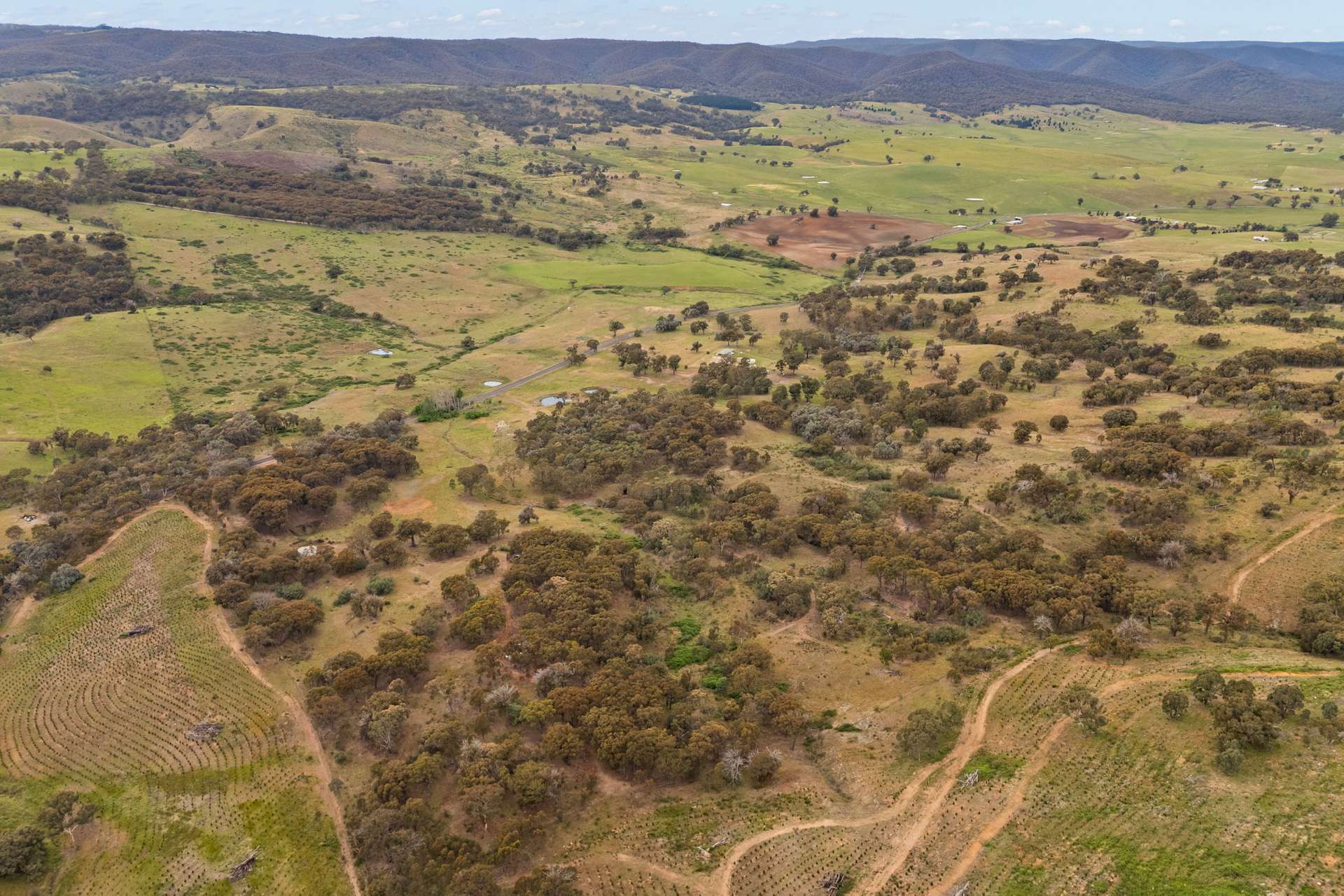 2975 Limekilns Road, Limekilns For Sale by Farmbuy.com - image 14