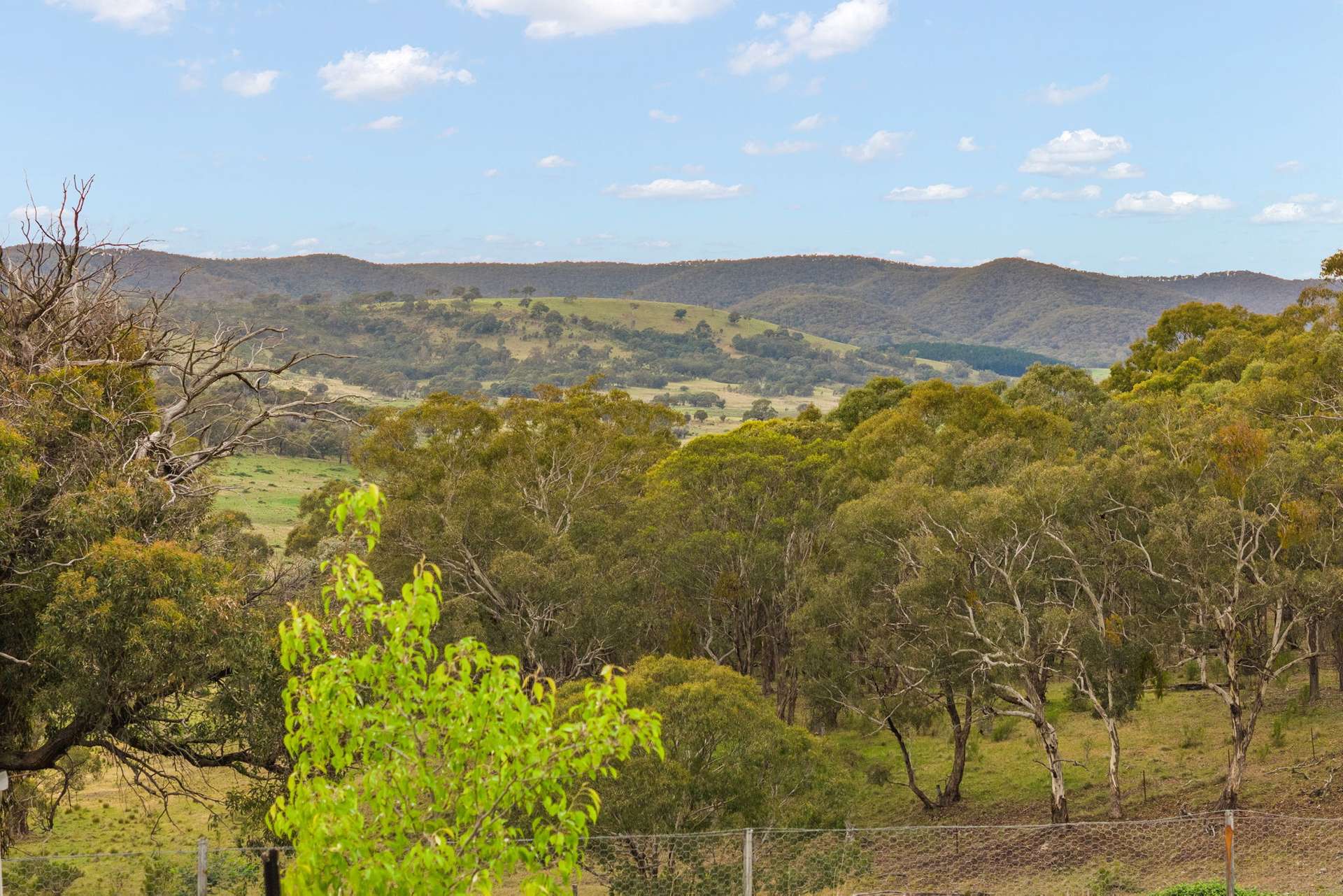 2975 Limekilns Road, Limekilns For Sale by Farmbuy.com - image 13
