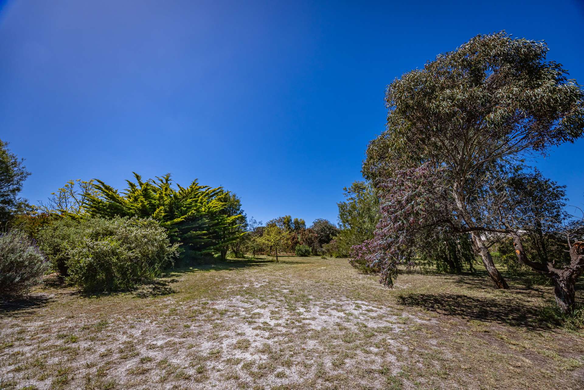 16 Alexander Avenue, Naracoorte For Sale by Farmbuy.com - image 19