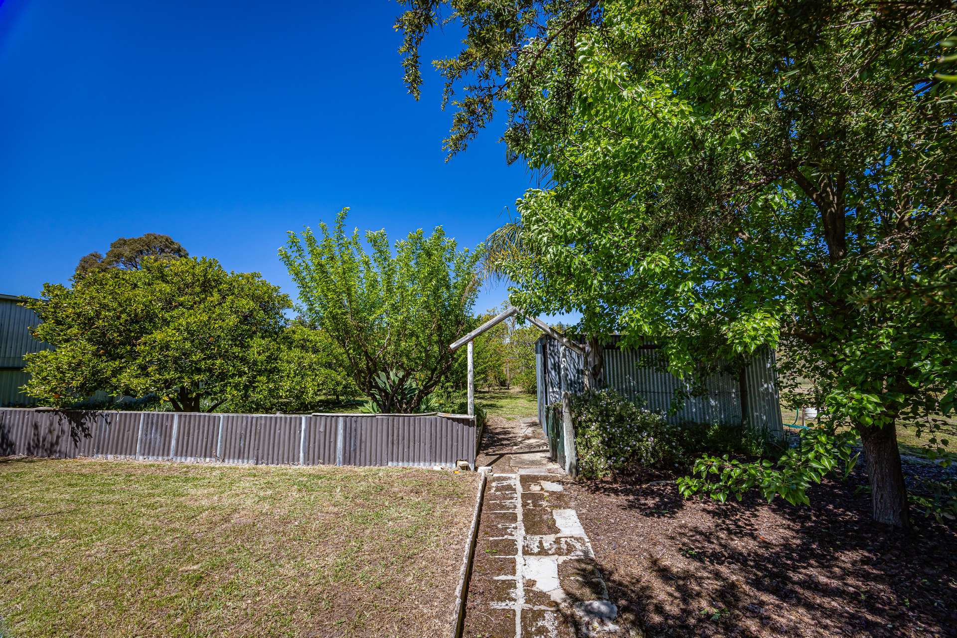 16 Alexander Avenue, Naracoorte For Sale by Farmbuy.com - image 16