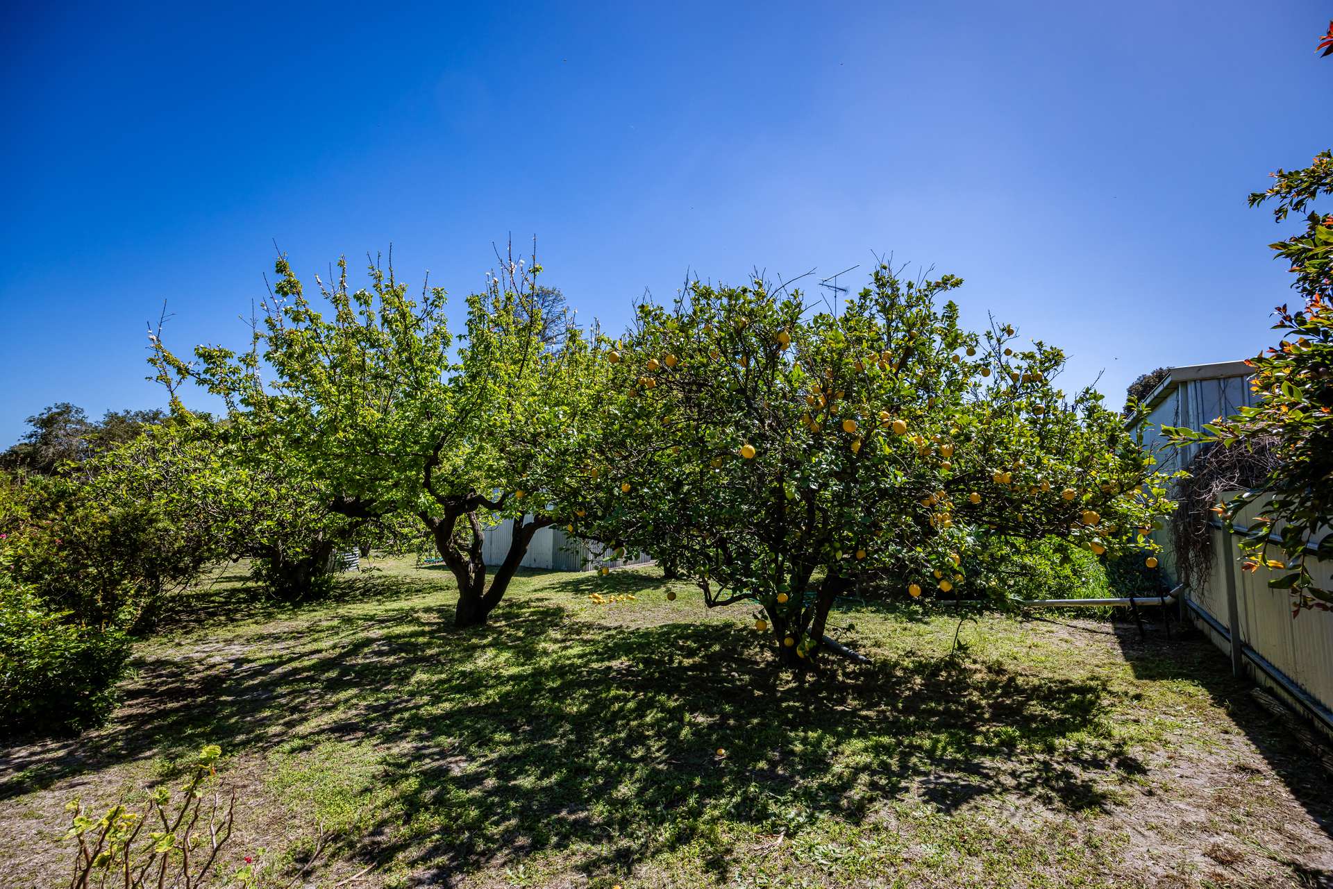 16 Alexander Avenue, Naracoorte For Sale by Farmbuy.com - image 17