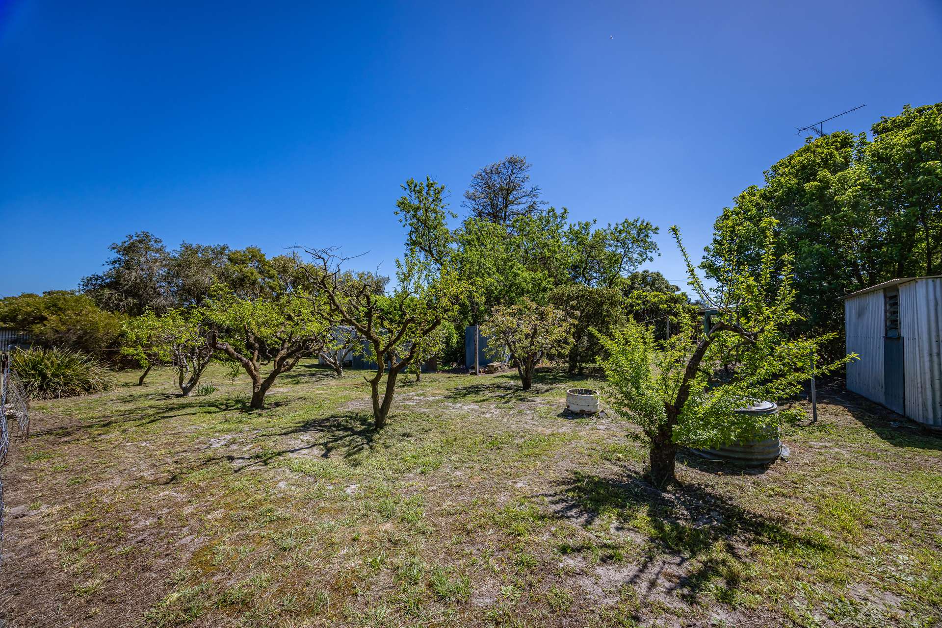 16 Alexander Avenue, Naracoorte For Sale by Farmbuy.com - image 18