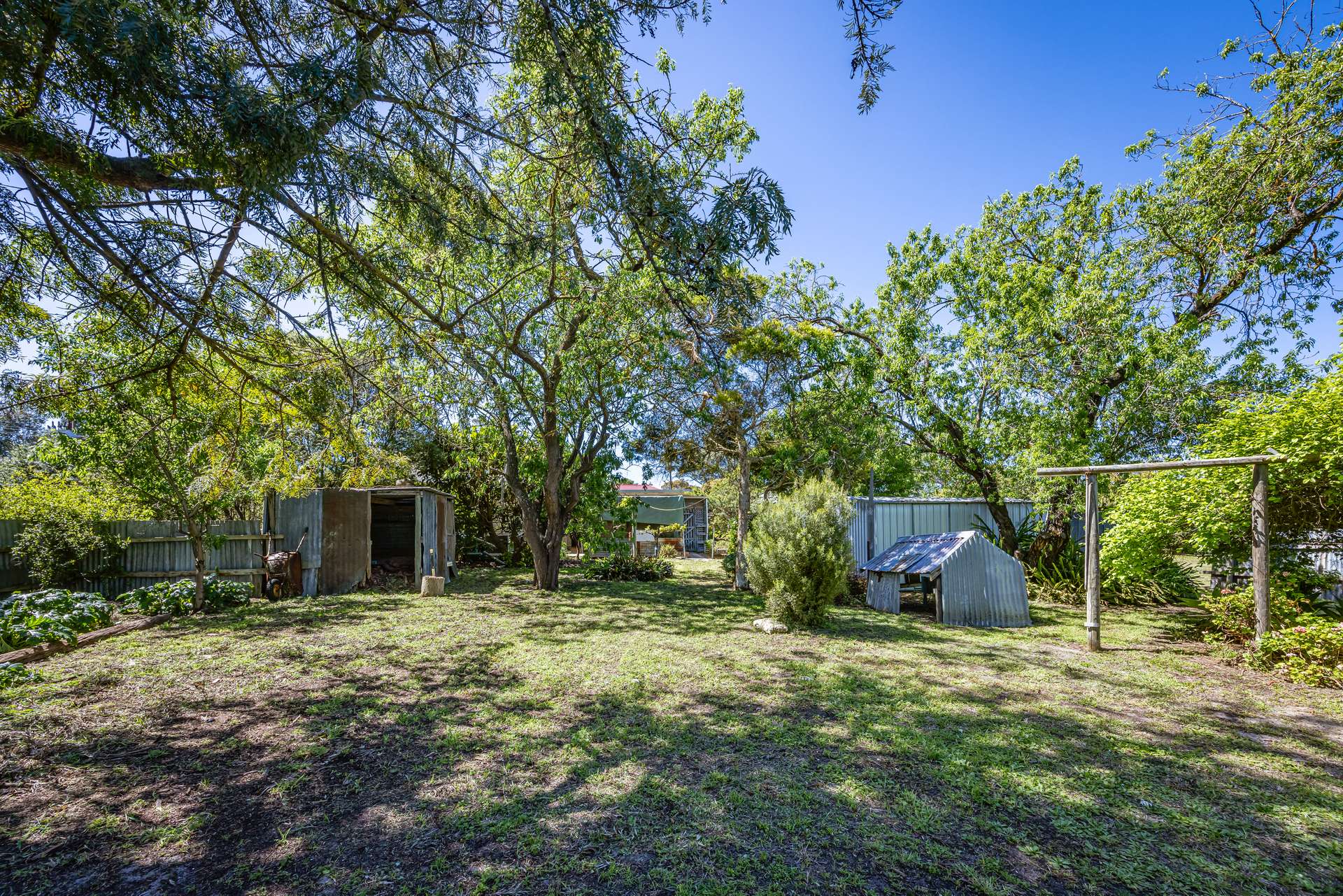 16 Alexander Avenue, Naracoorte For Sale by Farmbuy.com - image 23