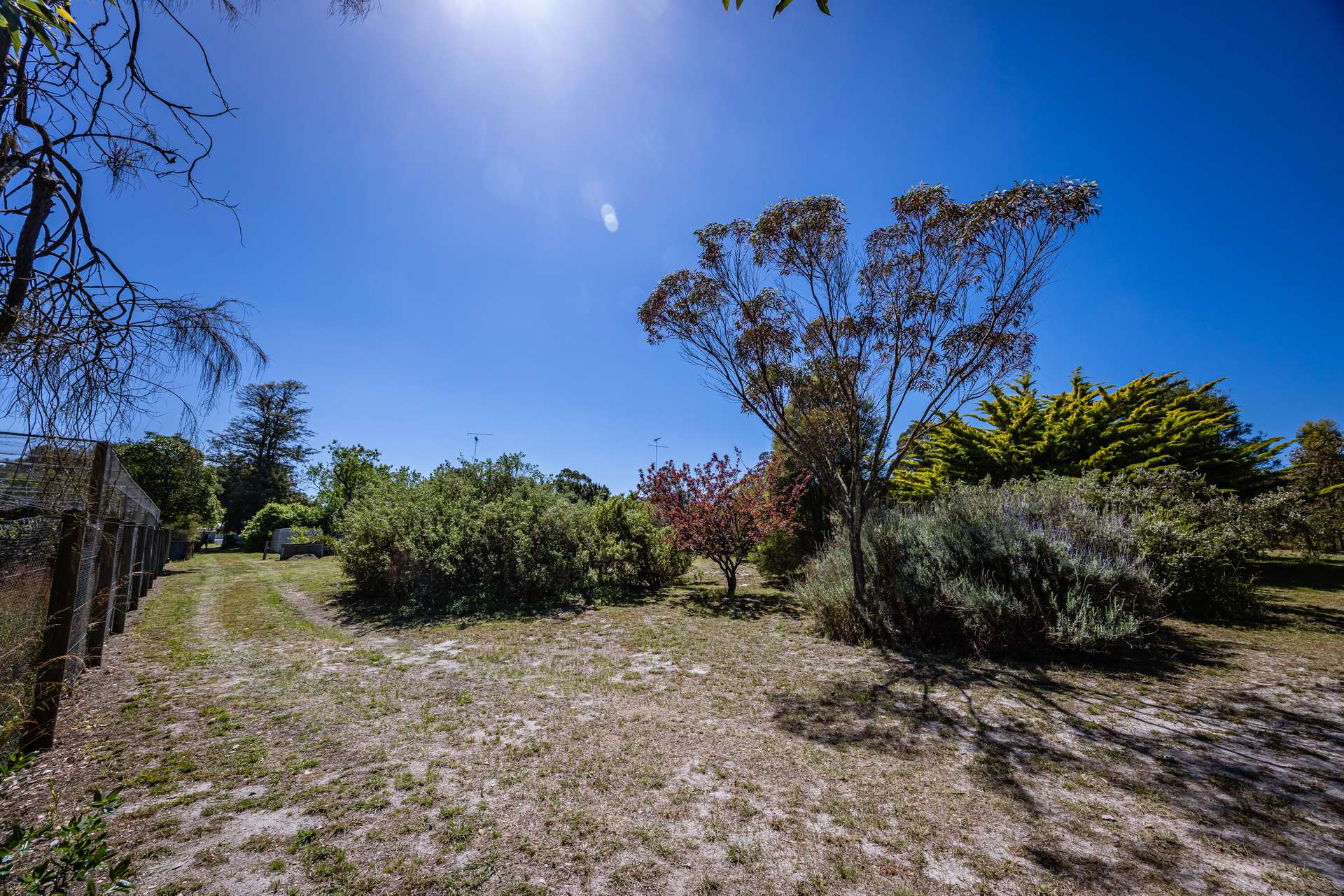 16 Alexander Avenue, Naracoorte For Sale by Farmbuy.com - image 20
