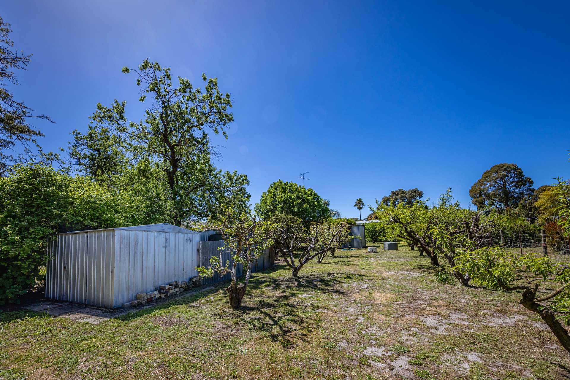 16 Alexander Avenue, Naracoorte For Sale by Farmbuy.com - image 22
