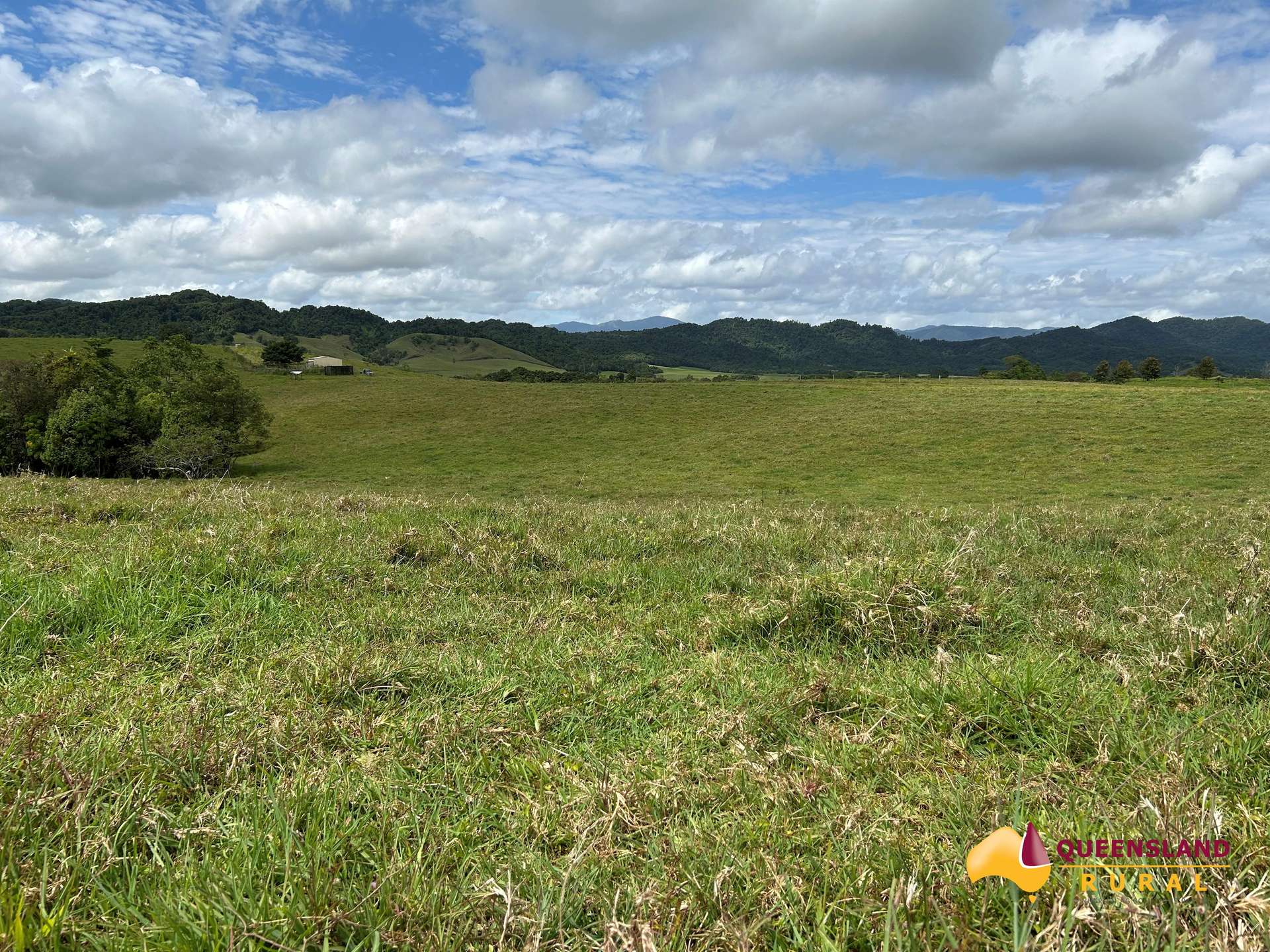 Utchee Creek For Sale by Farmbuy.com - image 5