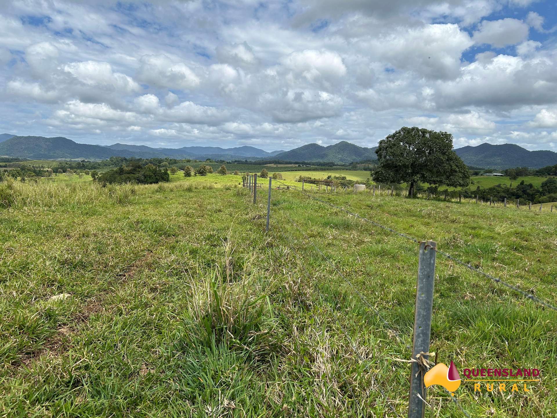 Utchee Creek For Sale by Farmbuy.com - image 7