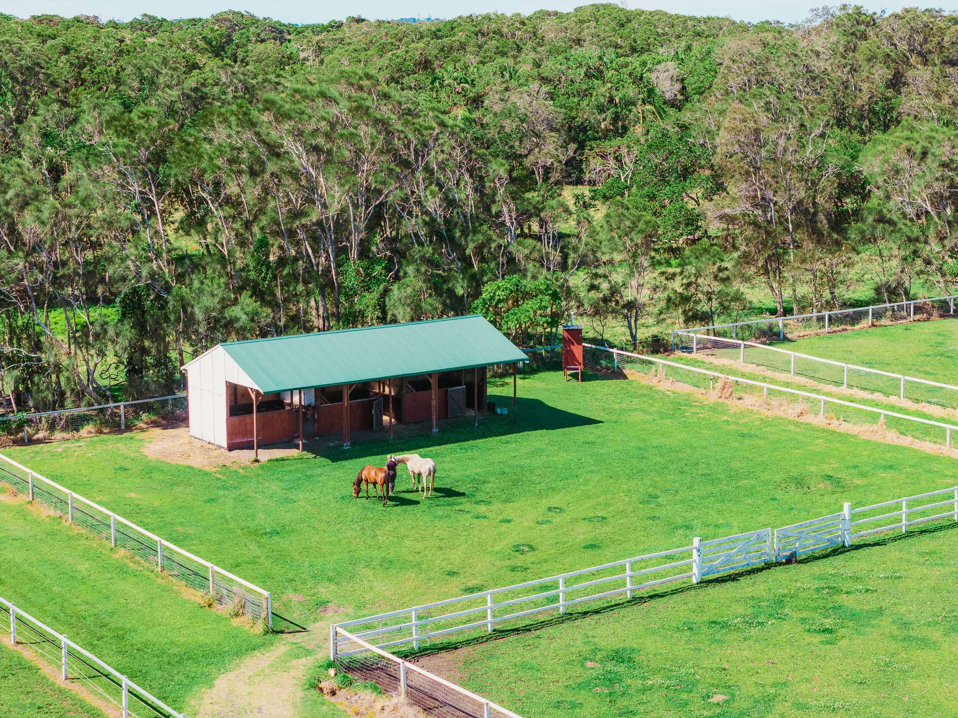 259 Keith Hall Lane, Keith Hall For Sale by Farmbuy.com - image 28