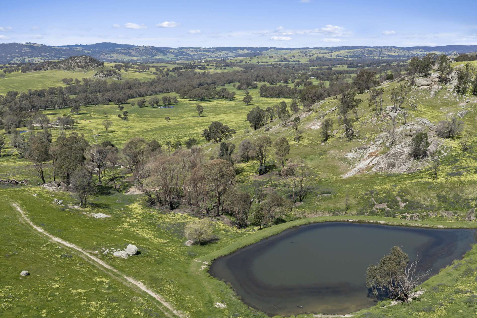 1036 Euroa-Mansfield Road, Gooram For Sale by Farmbuy.com - image 23