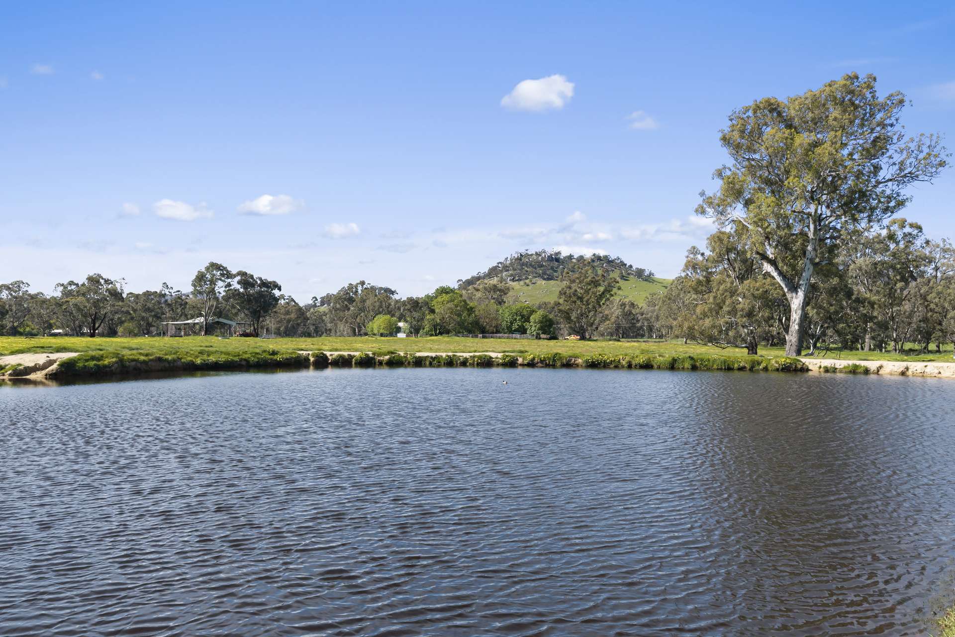 1036 Euroa-Mansfield Road, Gooram For Sale by Farmbuy.com - image 2