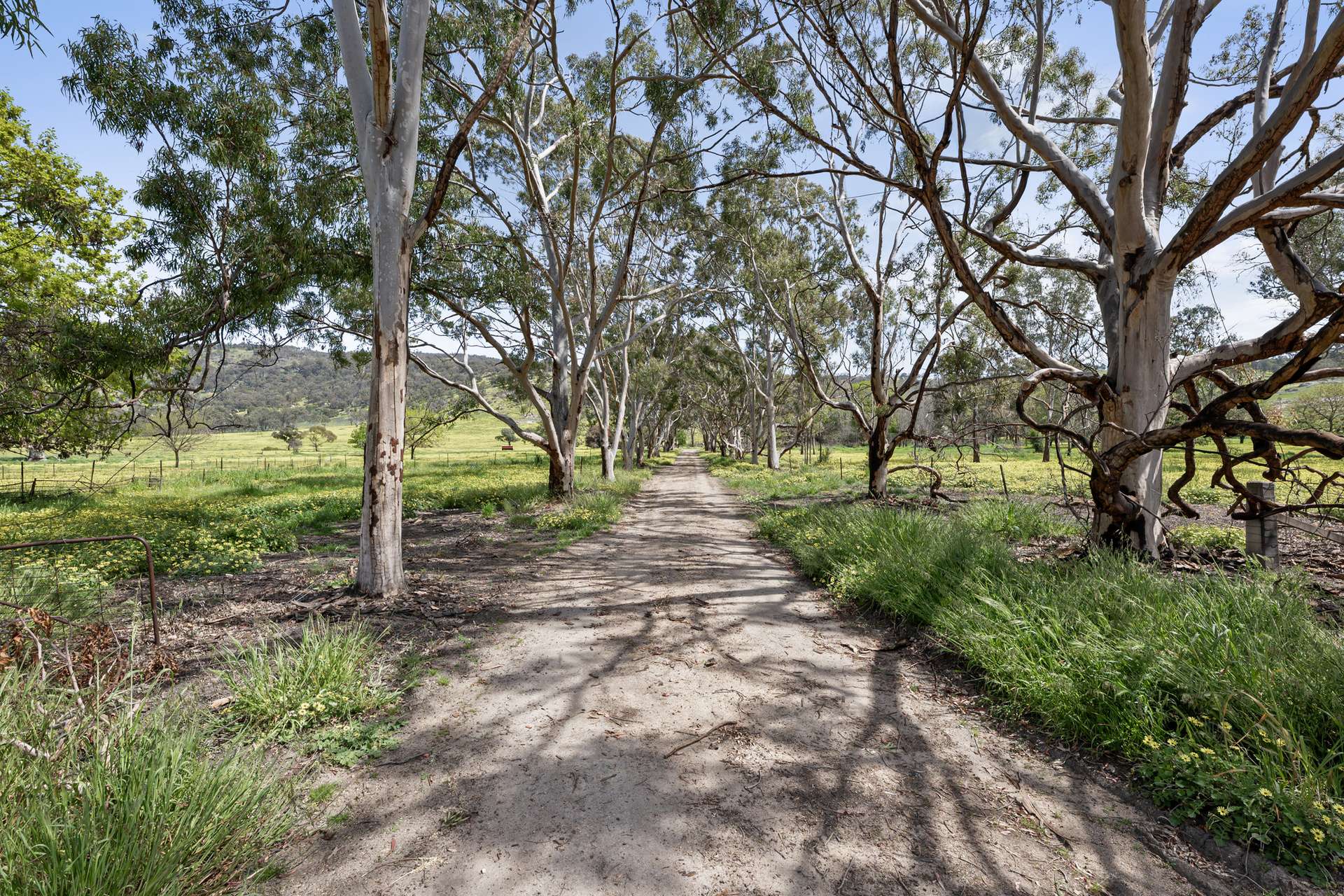 1036 Euroa-Mansfield Road, Gooram For Sale by Farmbuy.com - image 22