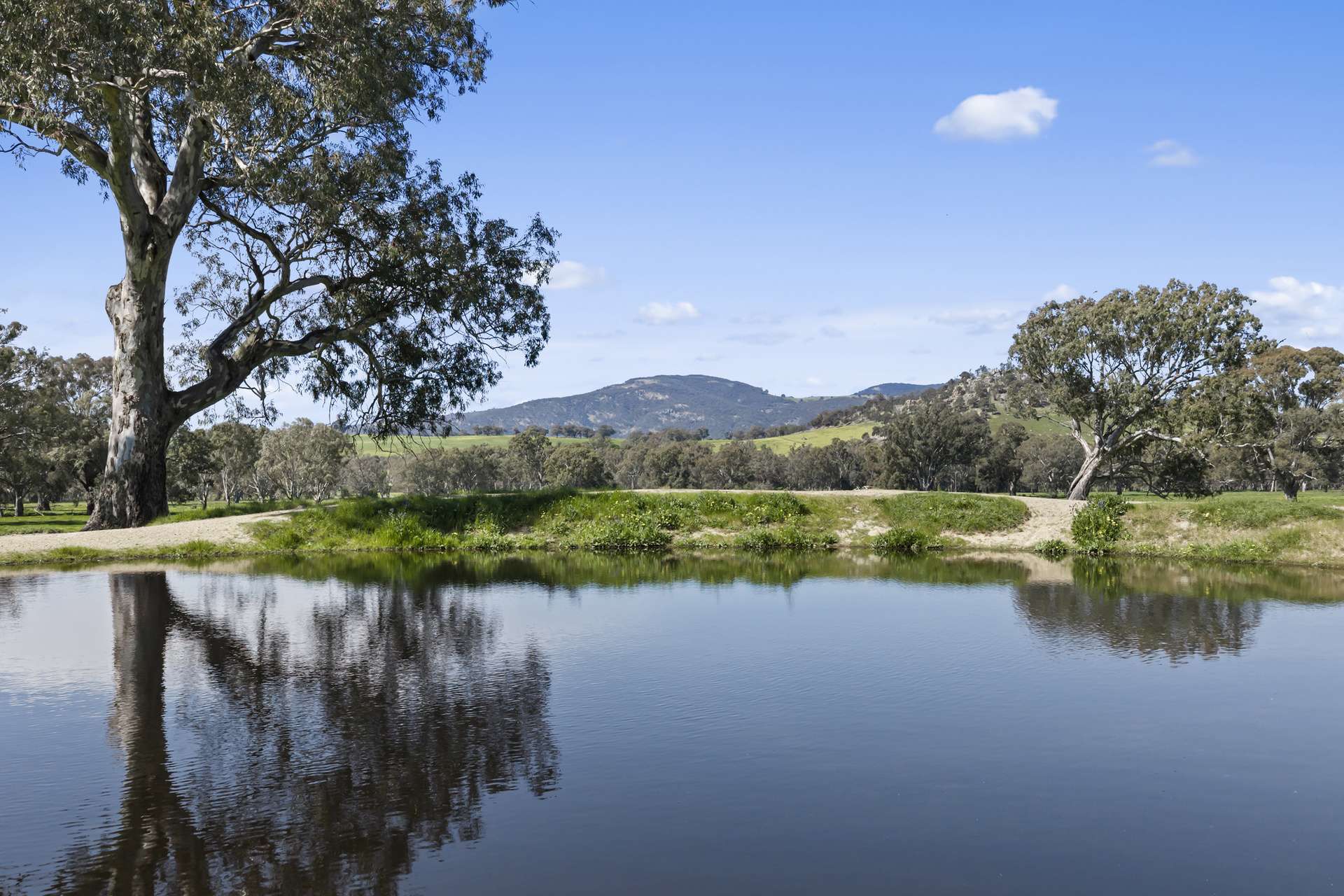 1036 Euroa-Mansfield Road, Gooram For Sale by Farmbuy.com - image 13