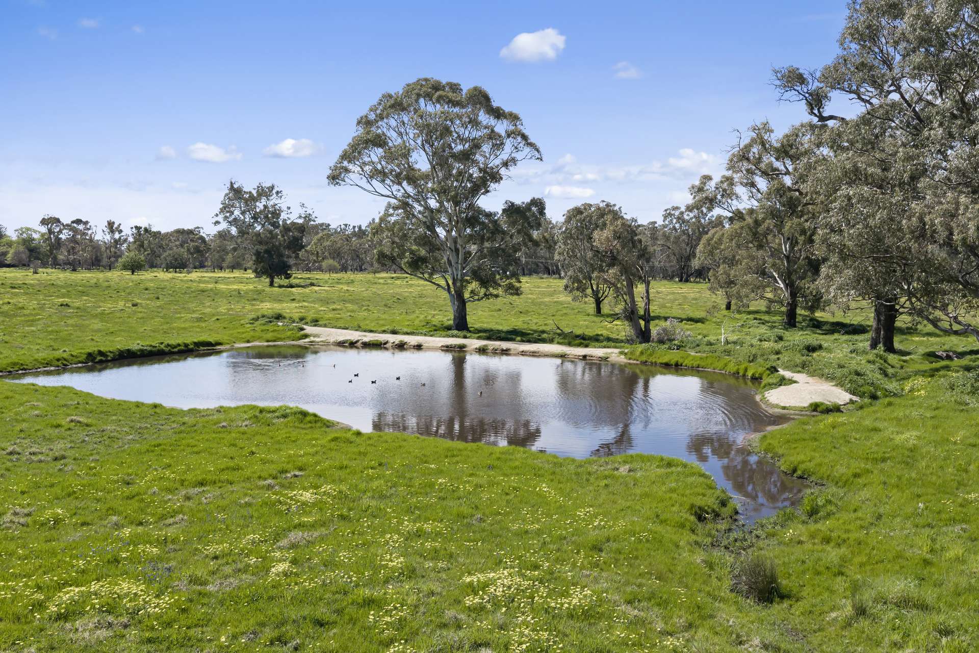 1036 Euroa-Mansfield Road, Gooram For Sale by Farmbuy.com - image 15