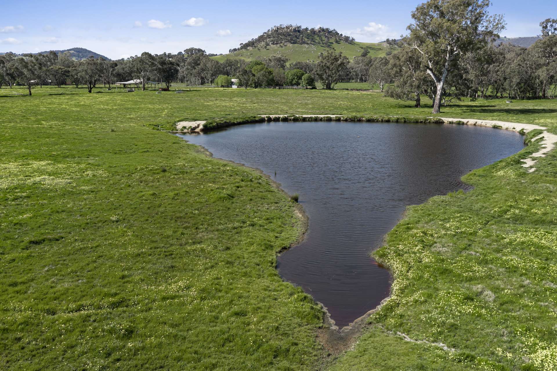 1036 Euroa-Mansfield Road, Gooram For Sale by Farmbuy.com - image 3