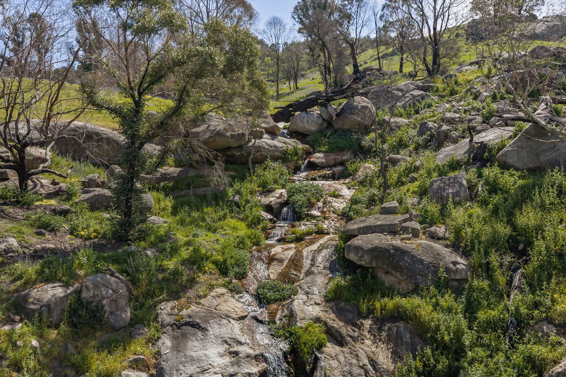 1036 Euroa-Mansfield Road, Gooram For Sale by Farmbuy.com - image 24
