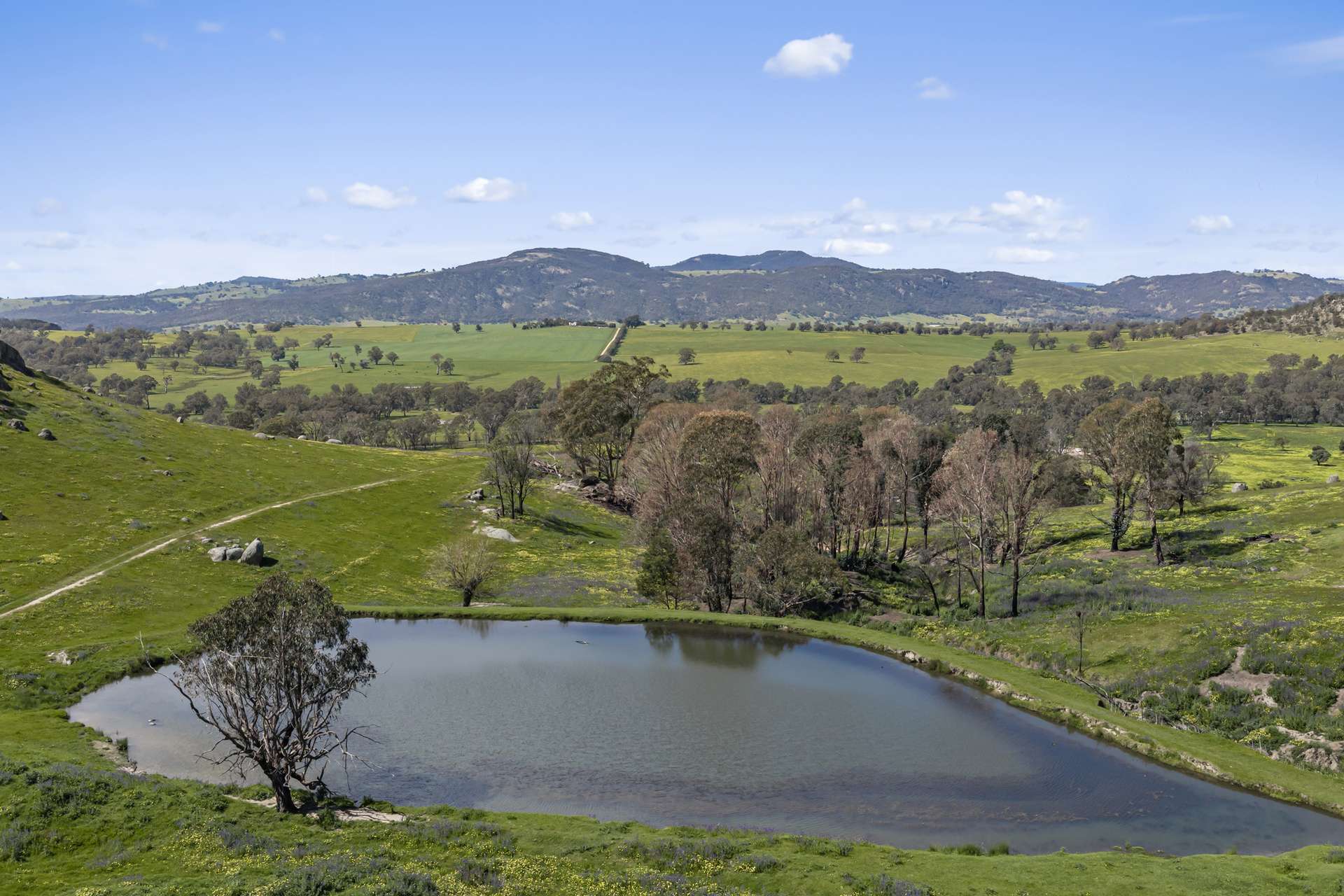 1036 Euroa-Mansfield Road, Gooram For Sale by Farmbuy.com - image 21
