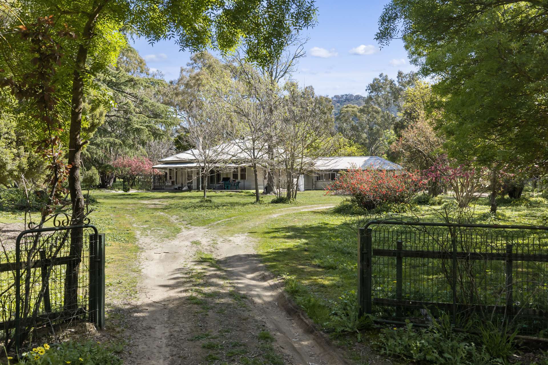 1036 Euroa-Mansfield Road, Gooram For Sale by Farmbuy.com - image 11