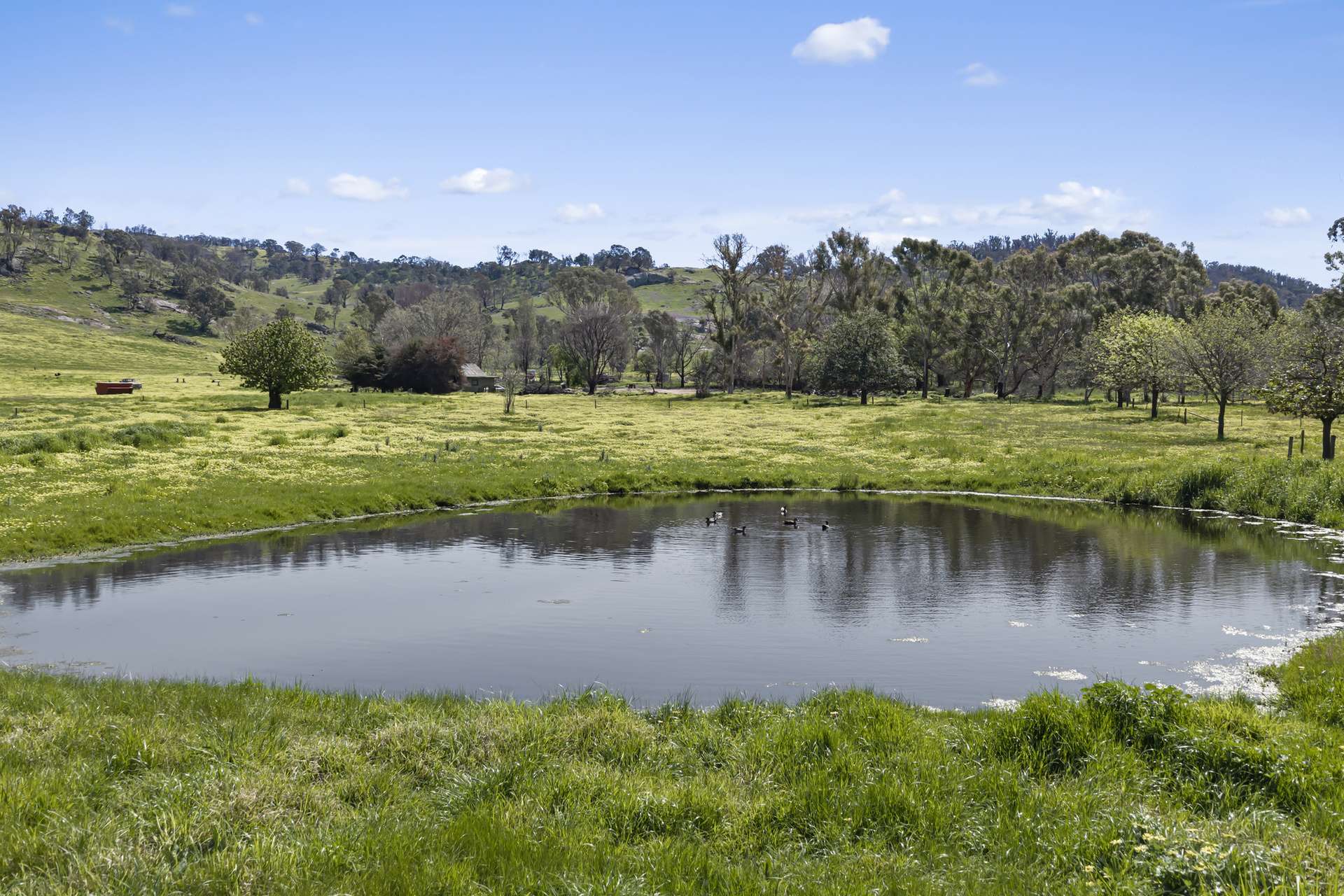 1036 Euroa-Mansfield Road, Gooram For Sale by Farmbuy.com - image 19